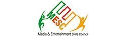 Media & Entertainment Skill Council